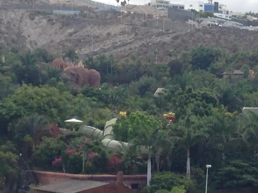 Lägenhet Apart Hotel Ponderosa Costa Adeje  Spanien